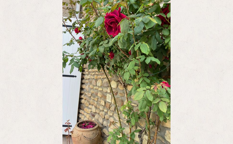 Jolie Maison du Village en Pierre, avec Jardin et Grange Attenante à 30 minutes de Pau
